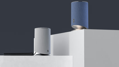 JD - Smart AI Speaker