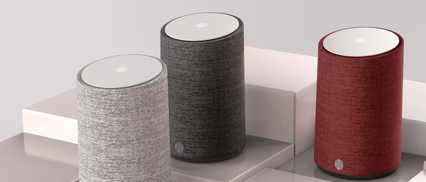 JD - Smart AI Speaker