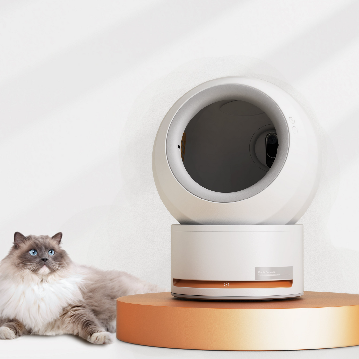 Intelligent Cat Litter Pan