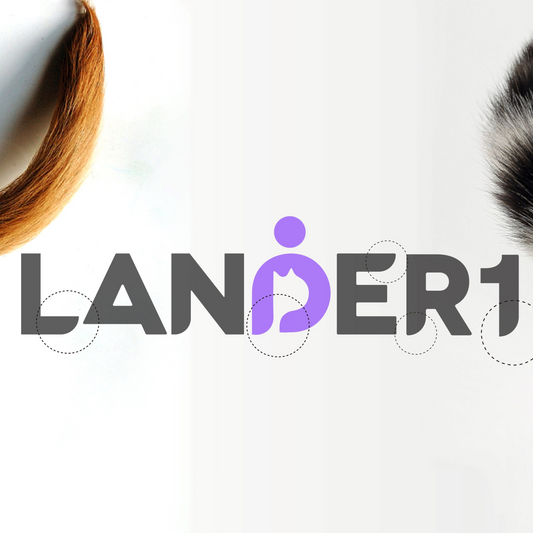 A Lander - Brand Upgrade