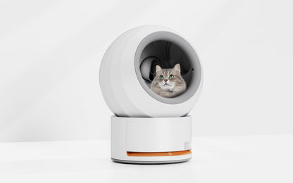 Intelligent Cat Litter Pan